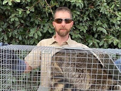 Ann Arbor pest control